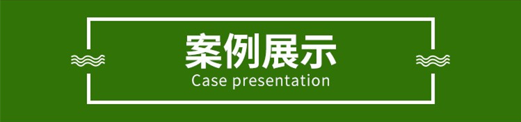 重钢别墅案例展示